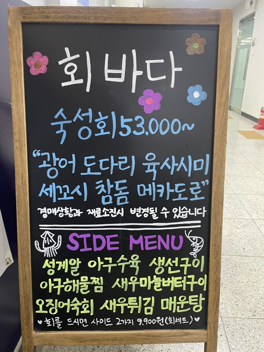 회바다 사진 2