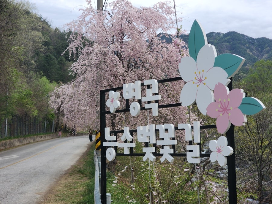 휴일엔펜션&캠핑 사진 2