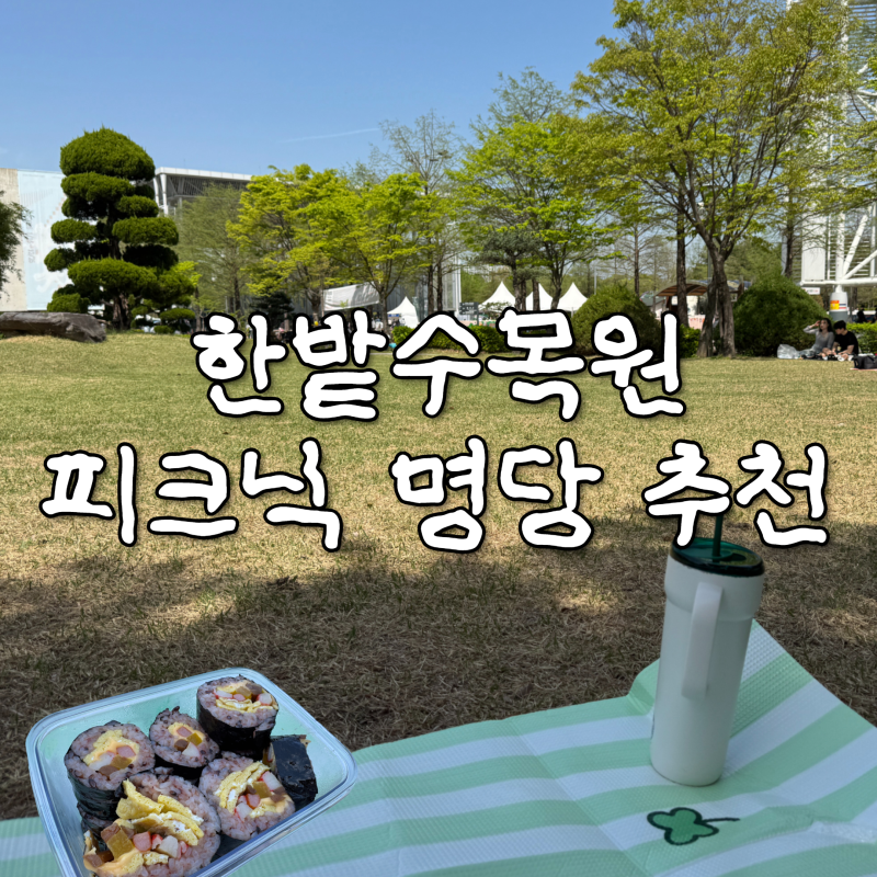 대전 한밭수목원 피크닉, 돗자리 명당 위치