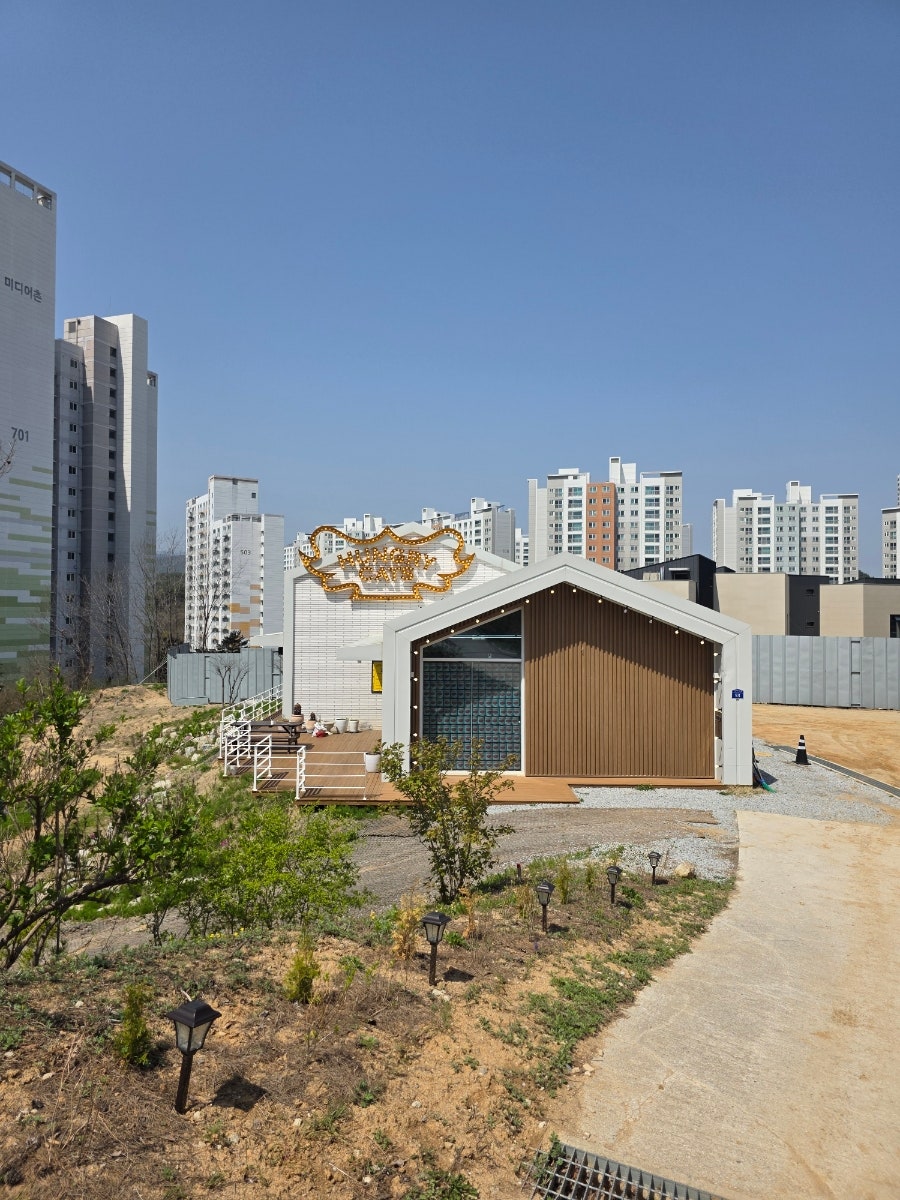헝그리캣츠 사진 5