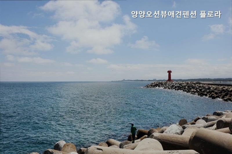 사진 3