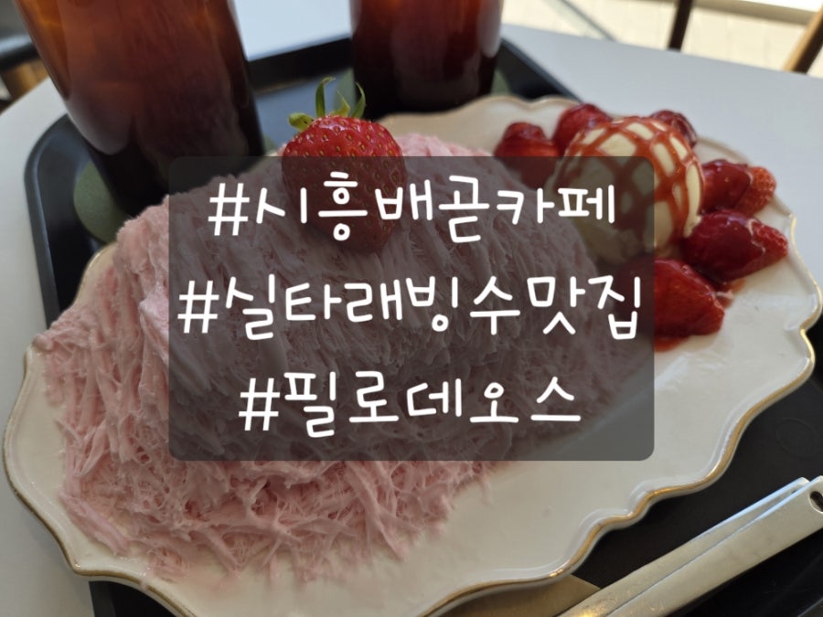 필로데오스 사진 1