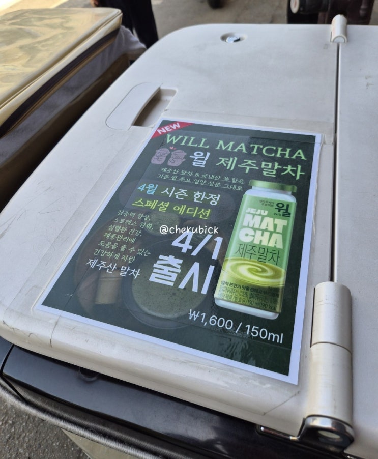  한국야쿠르트 hy 신제품 제주말차 윌 내돈내산 솔직 후기