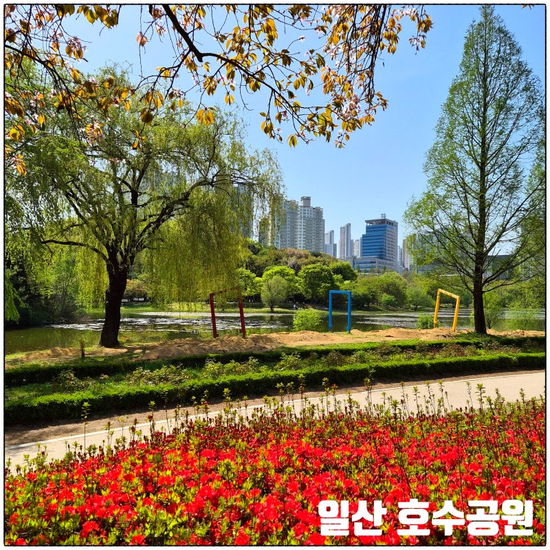 사진 2