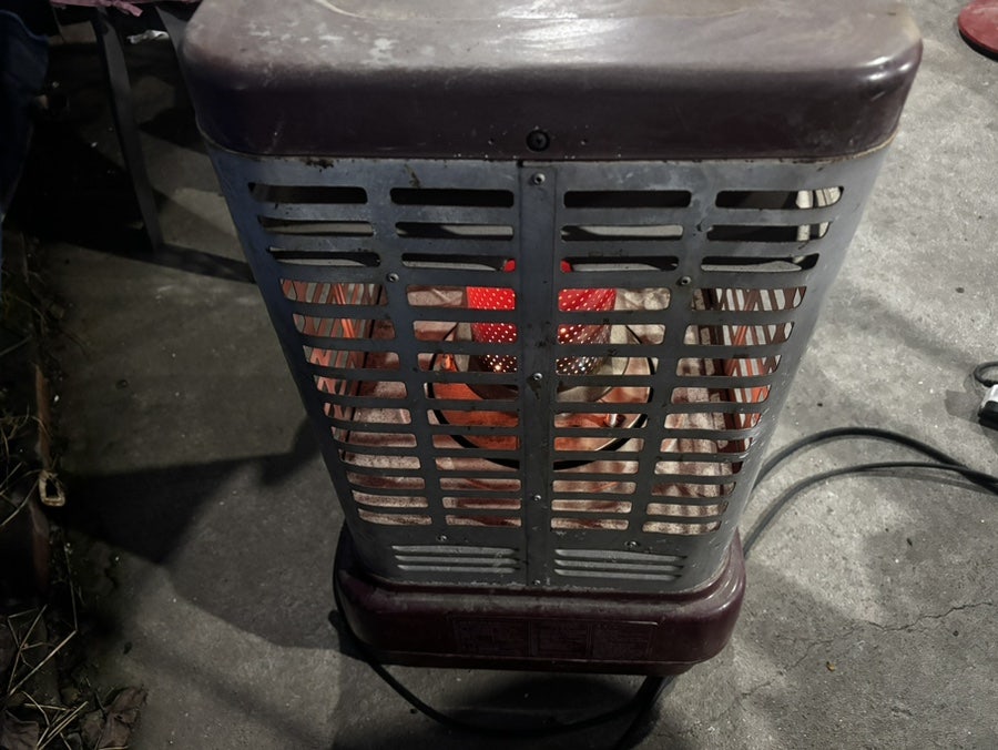 해물복단지 사진 5