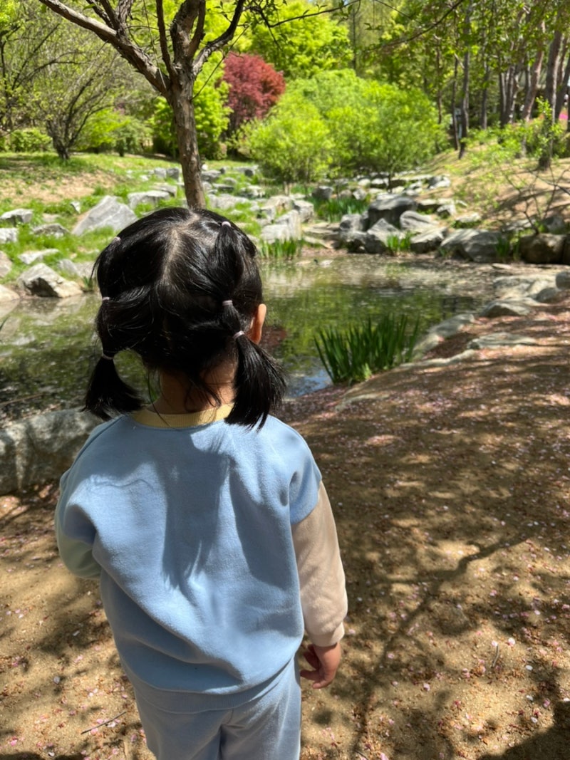 38개월, 판교 숲체험 후기 - 판교도서관 (2026.4)