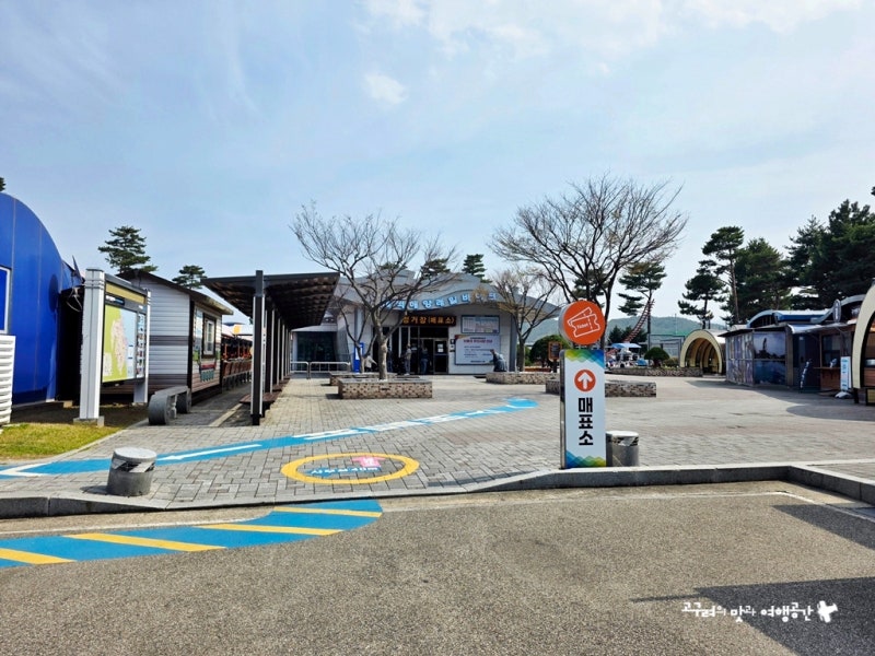 사진 7