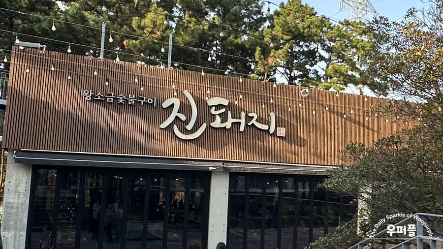 진돼지 사진 2