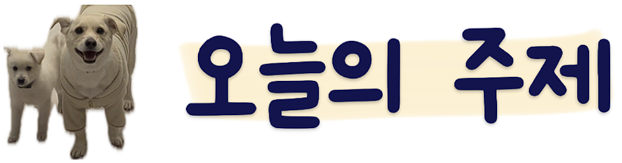 사진 6