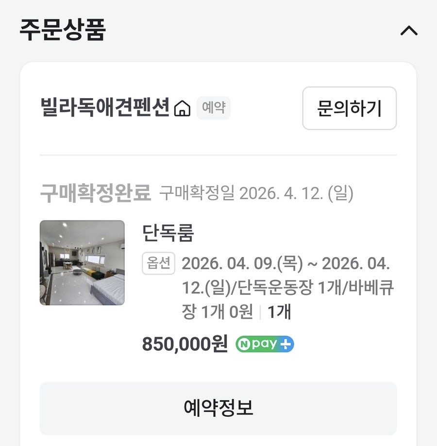 빌라독애견펜션 사진 3