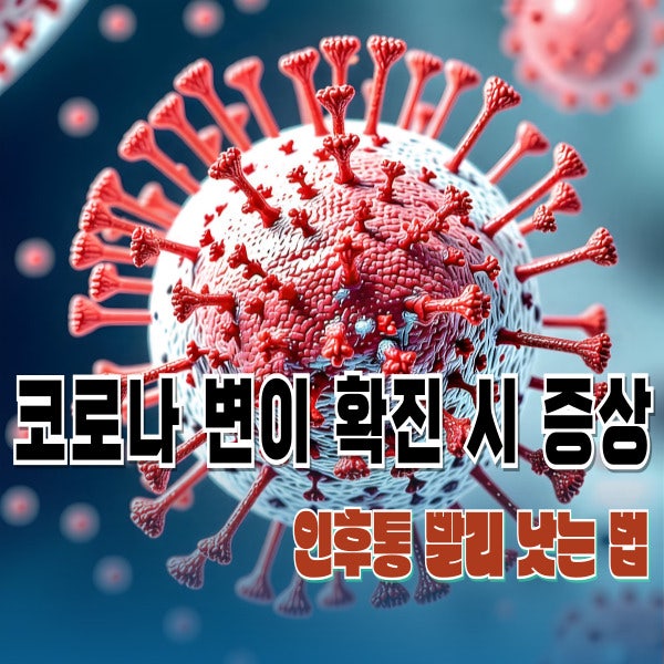 코로나 변이 확진 시 증상 순서 및 인후통 빨리 낫는 법 [약국 약 추천부터 민간요법까지 총....