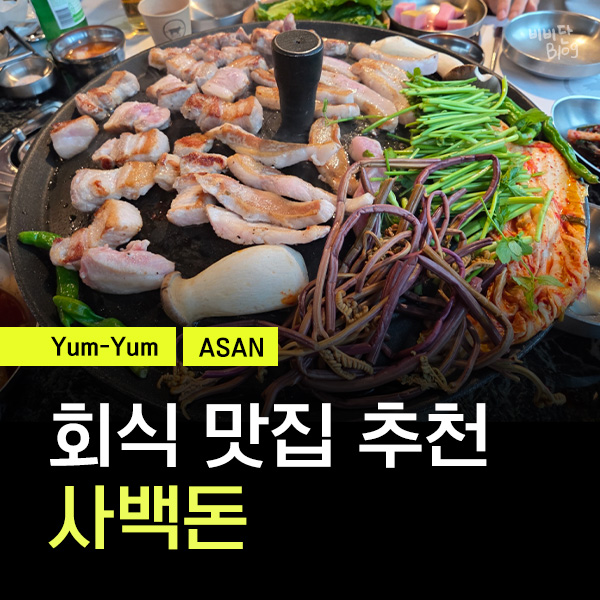 사백돈 사진 1