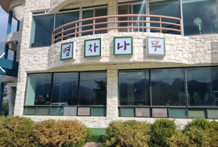 명자나무 사진 3