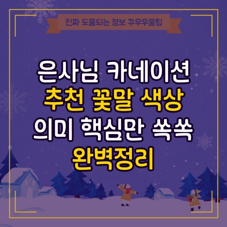  은사님 카네이션 추천 꽃말 색상 의미 핵심만 쏙쏙 완벽정리