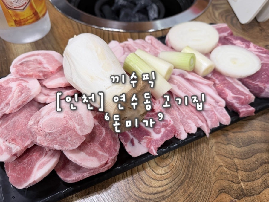돈미가 사진 1