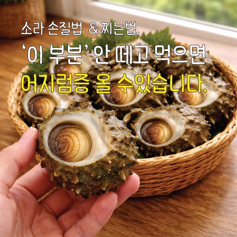소라 삶는법, 물에 넣는 순간 단맛이 빠집니다. (찌는법 시간, 침샘 제거, 보관법)