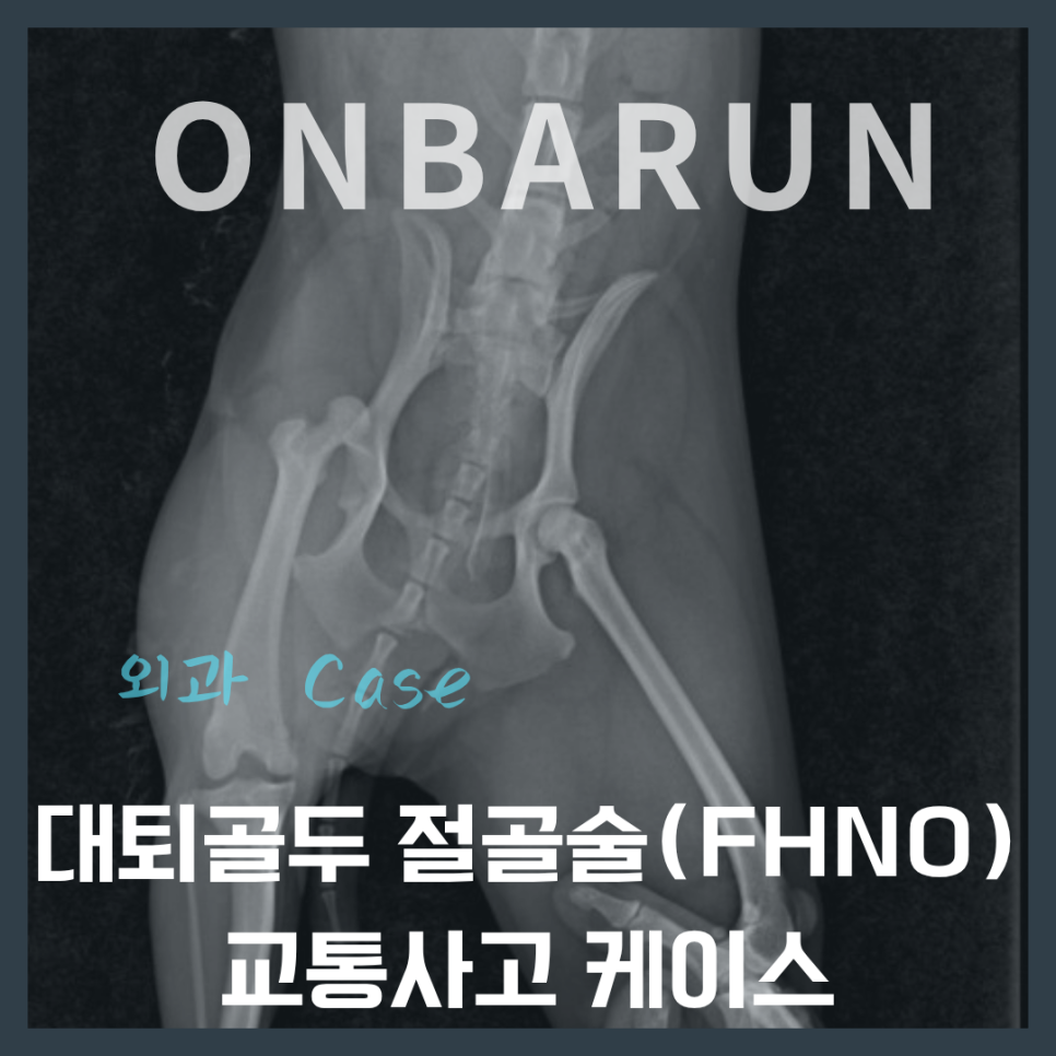 절골 사진 1