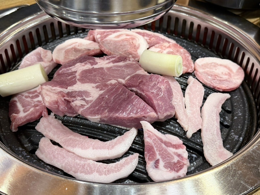 돈미가 사진 6