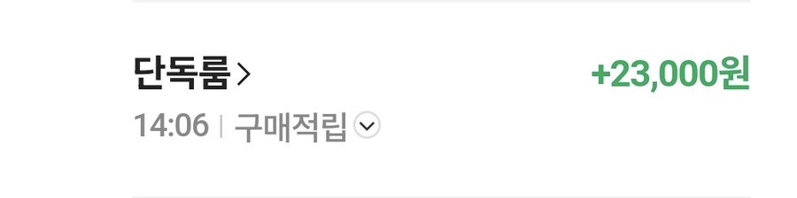빌라독애견펜션 사진 4