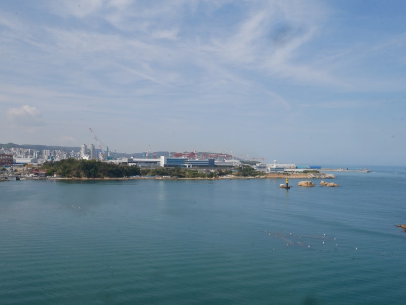 사진 5
