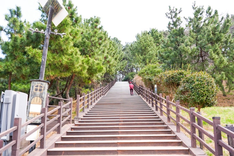 사진 6