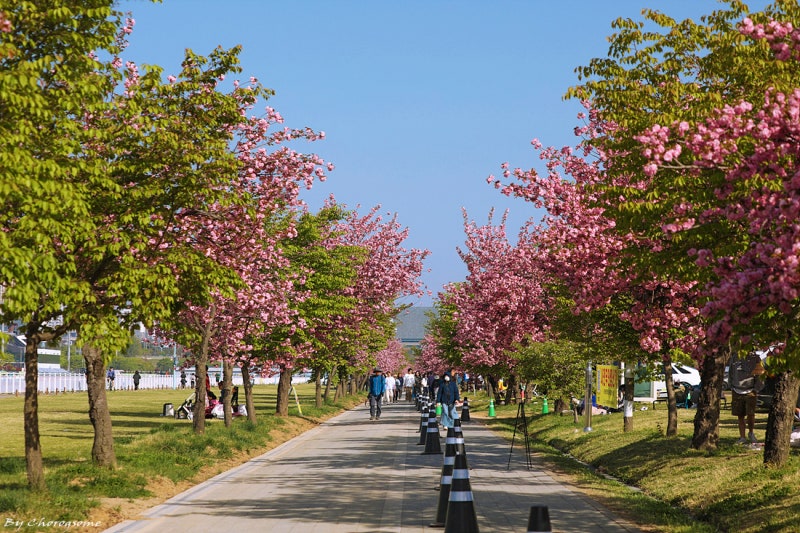 사진 2
