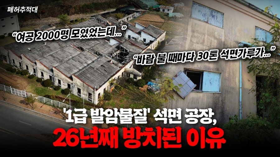 이모네손칼국수 사진 5