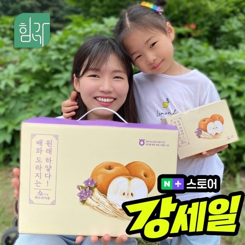  상큼하게 건강 챙기는 석류즙 도라지배즙 제주 귤 내돈내산 솔직후기