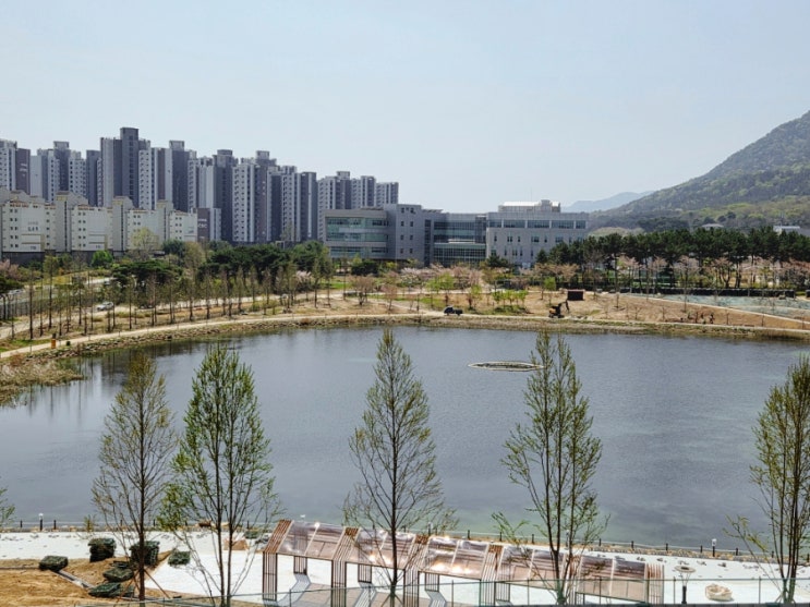  홍성 내포 홍예공원 임시개방, 호수 러닝코스 산책길로 좋아요