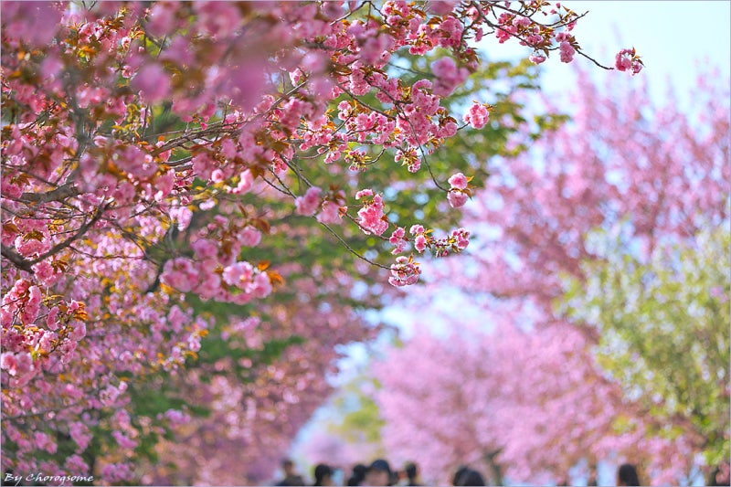 사진 3