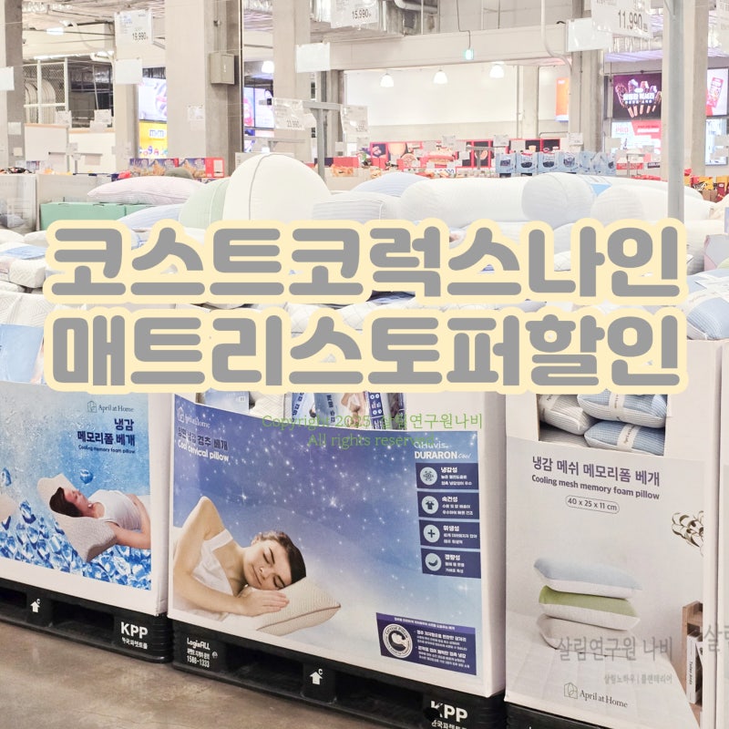코스트코 매트리스 토퍼 럭스나인 베개 쿠션 할인 가격