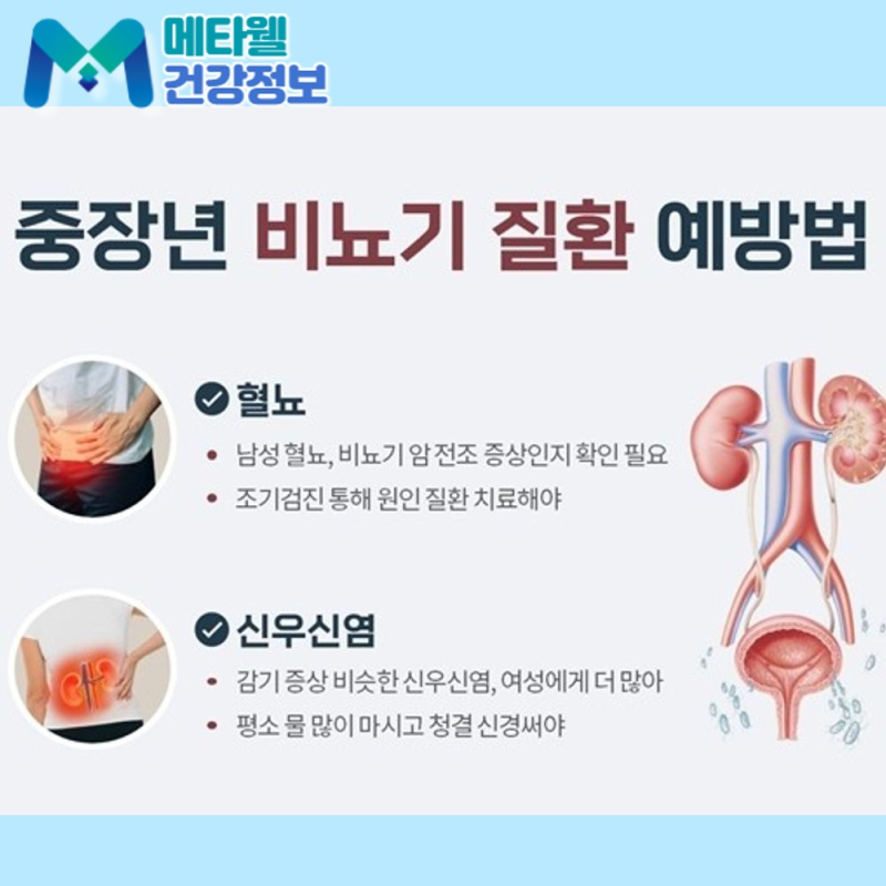 신우신염인지 모르고 넘기면 안 되는 이유, 초기증상과 치료 기간 정리