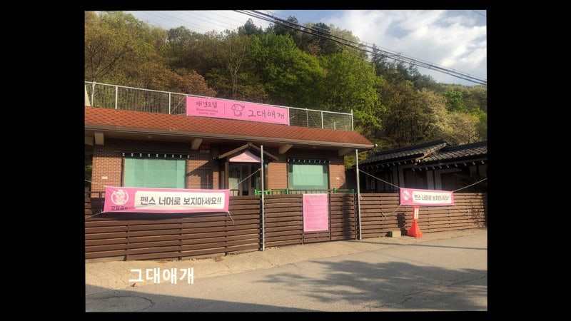 그대애개