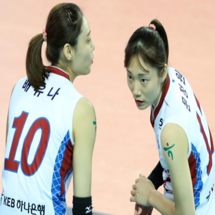 김종민 감독을 내친 걸 목격한 도로공사 FA 배유나와 문정원!! 과연 소속팀 잔류와 이적 중 어느 선택을 하게 될까?? 현대건설 정관장 흥국생명이 노린다!!