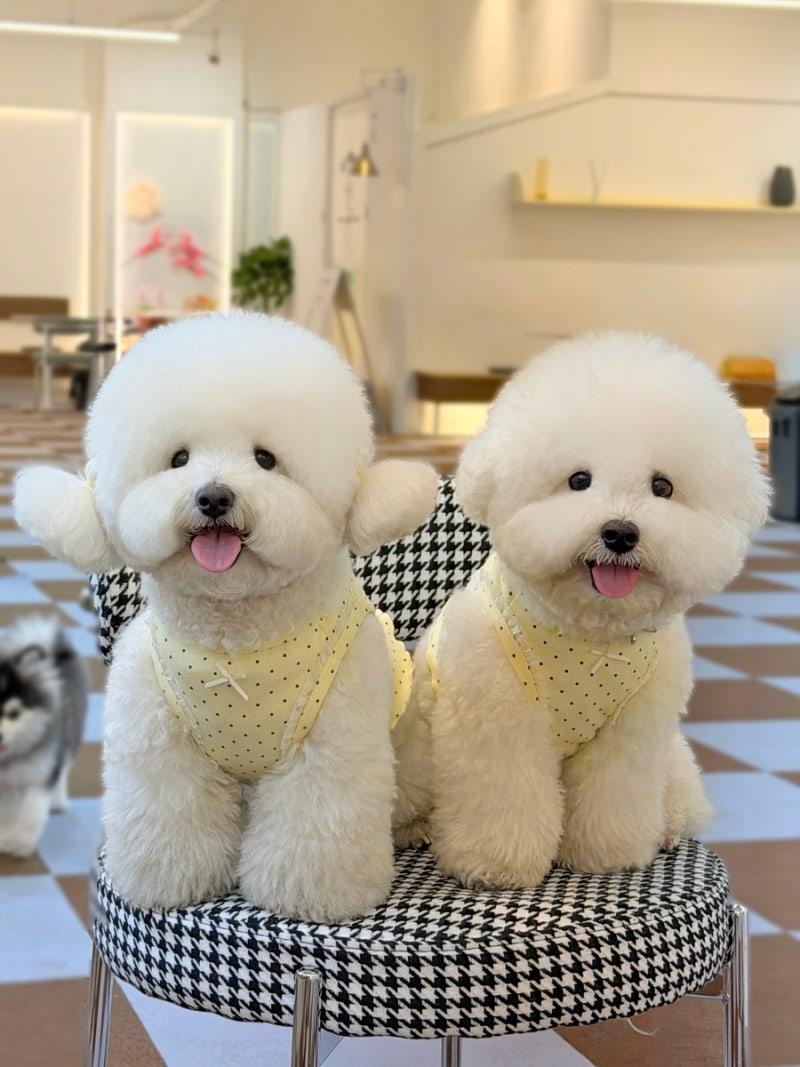 사진 7