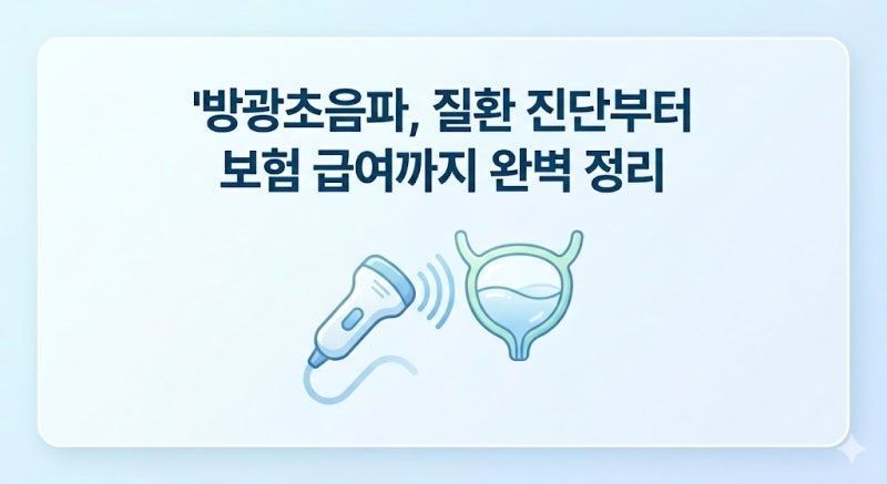 방광초음파 검사로 알 수 있는 질환 및 건강 보험 적용 기준 안내