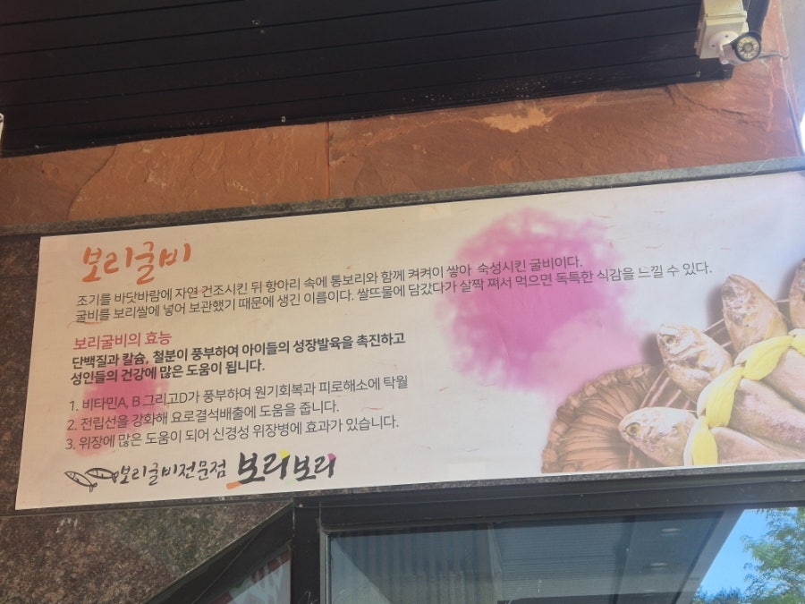 보리보리 사진 3
