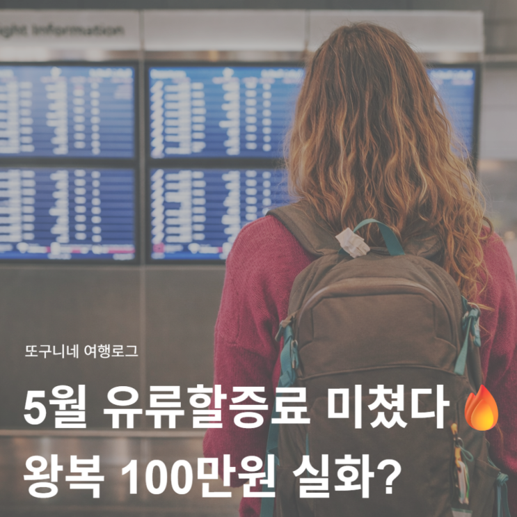  2026년 5월 유류할증료 미쳤다 왕복 100만원 실화? 대한항공 아시아나항공