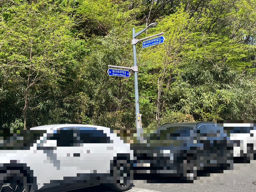 라호야 사진 3
