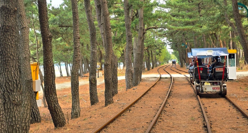 사진 6