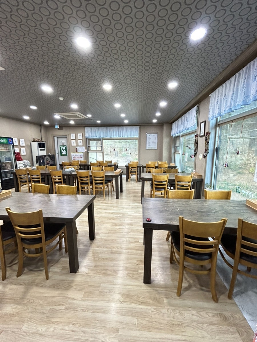 계수나무 사진 6