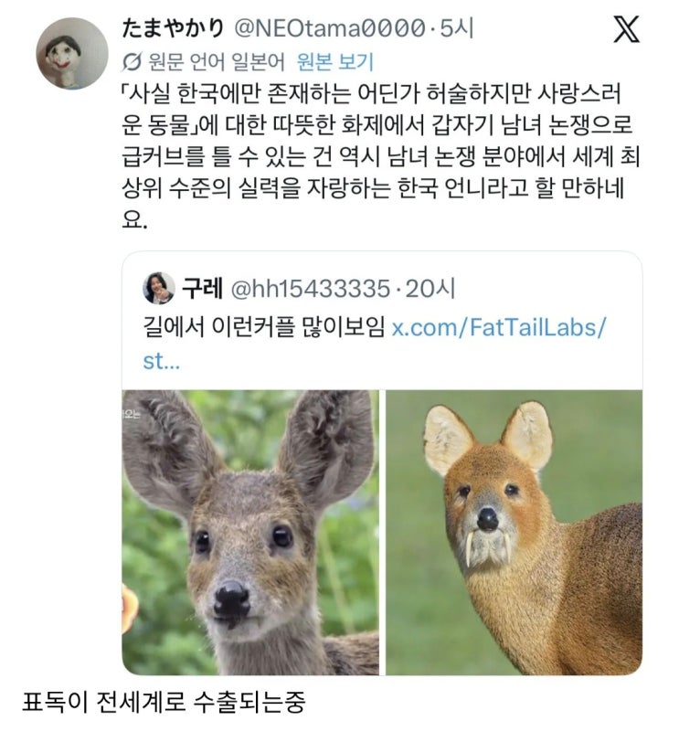  뭐든 남혐소재로 바뀌는것에 감탄하는 일본인