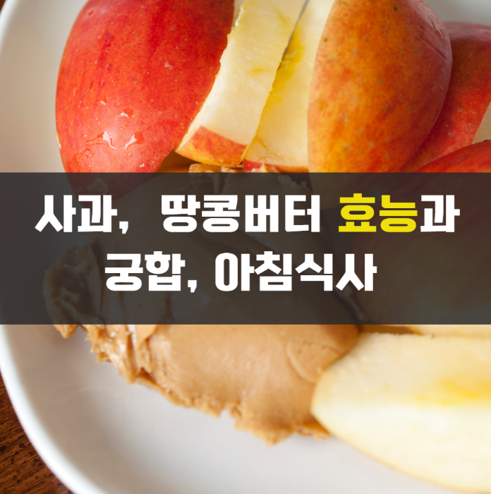 최강의 항염 조합 사과와 땅콩버터 효능 및 당뇨인이 열광하는 이유