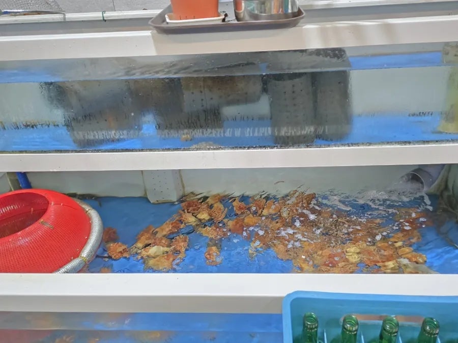 동해횟집 사진 6