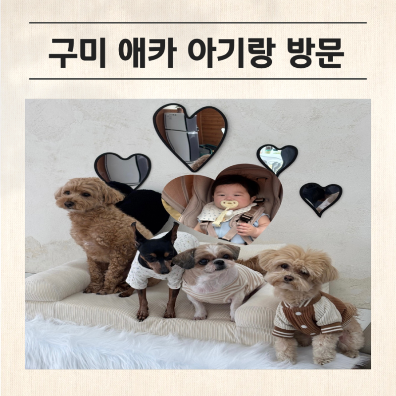 또독하우스