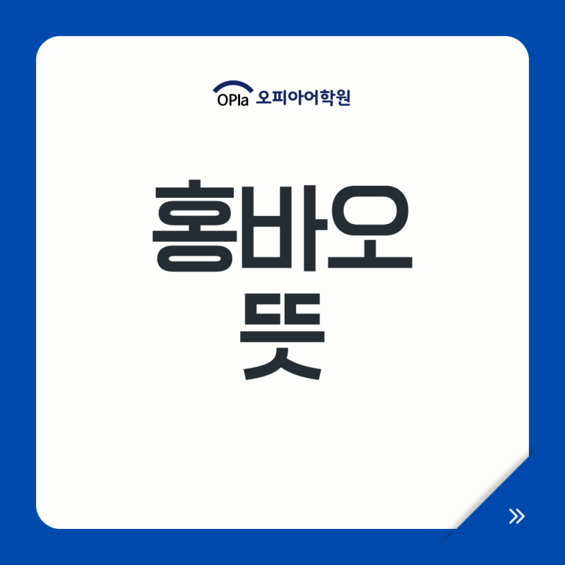 홍바오 뜻, 세뱃돈 붉은 봉투 위챗 페이 문화