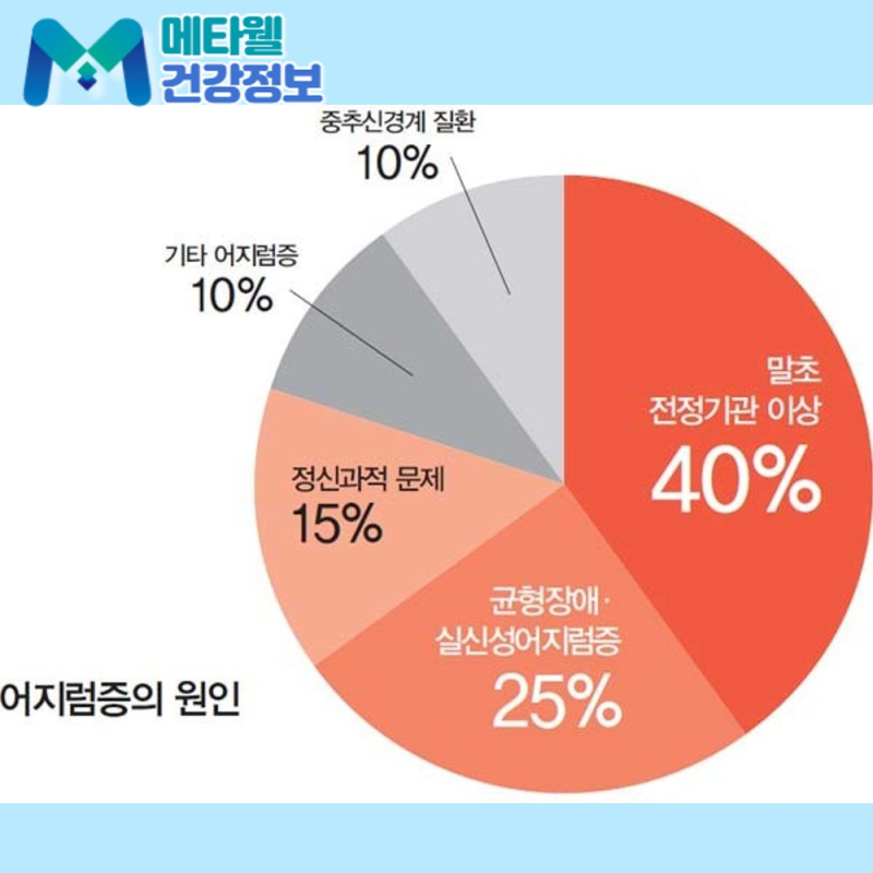 "갑자기 세상이 빙빙 돈다면?" 어지러움 원인, 경추성 어지러움, 검사와 치료까지