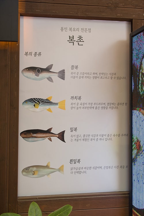 복촌 사진 3