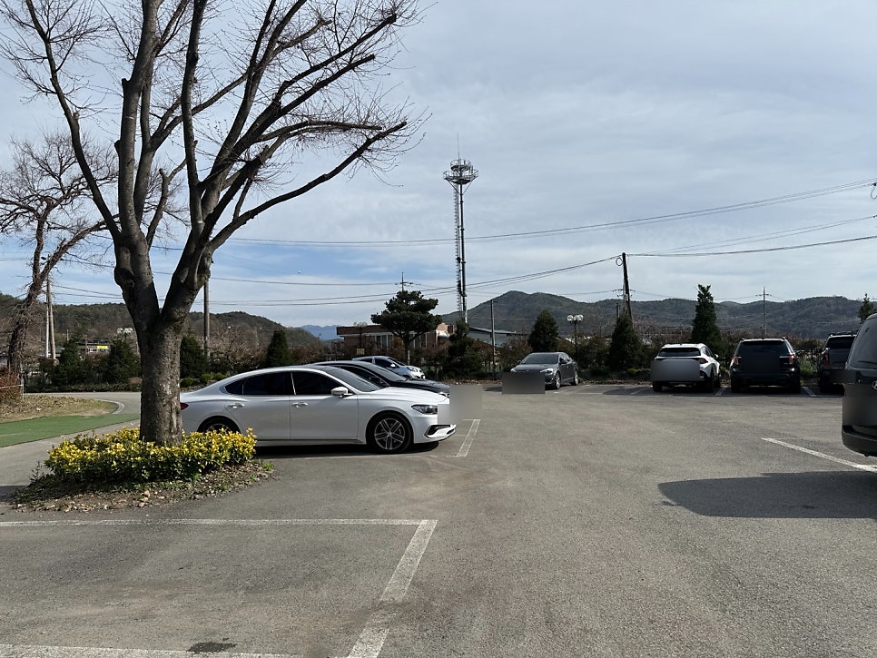 효령매운탕 사진 3