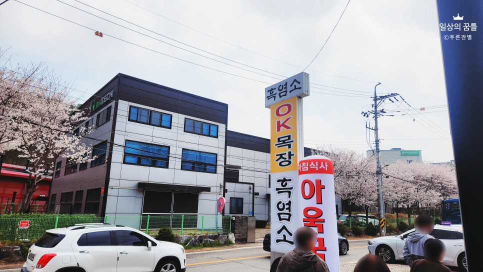 오케이목장 사진 2